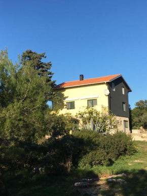 APARTMAN ŽUŽI Otok Silba Hrvatska